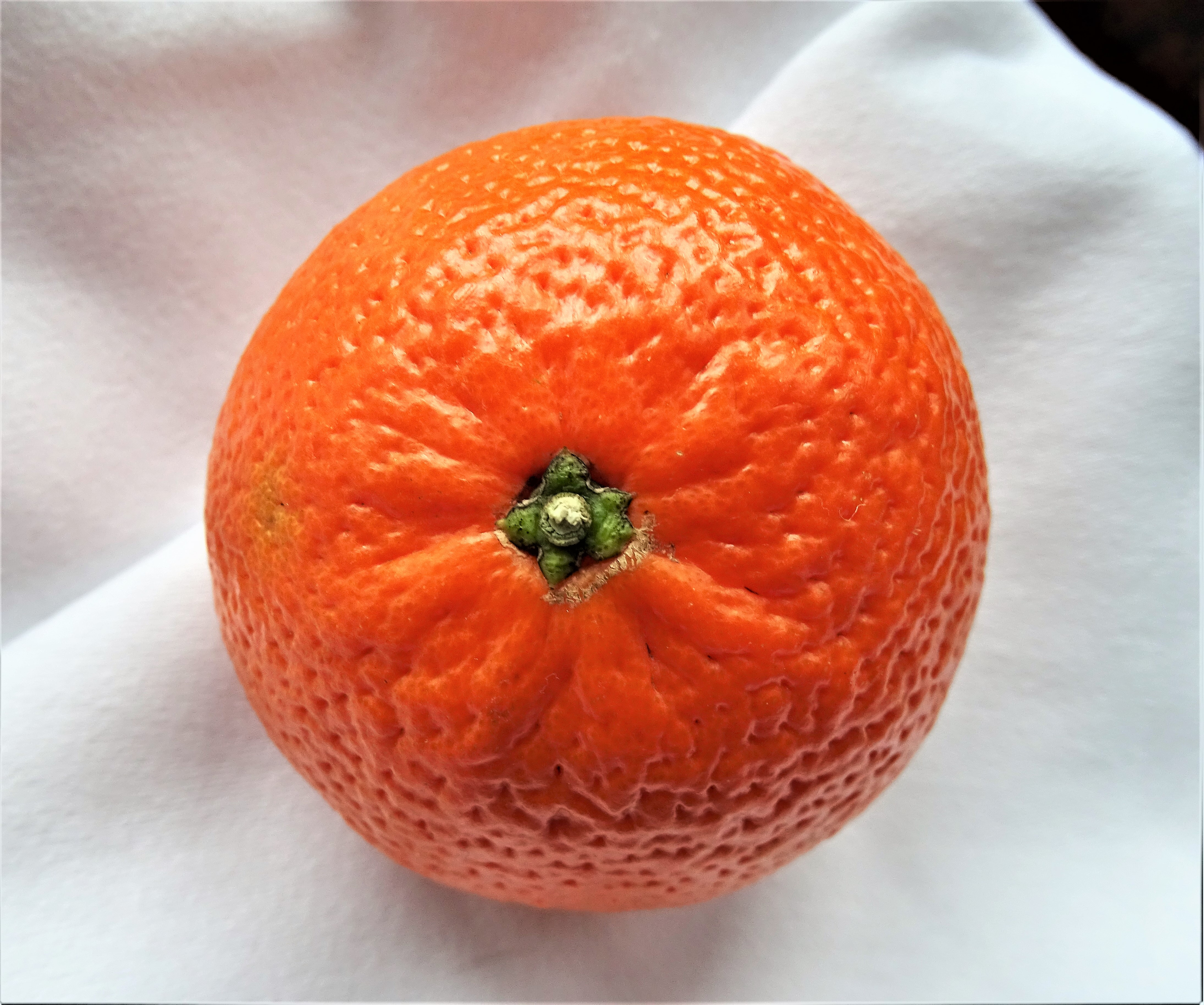 mandarine-makro